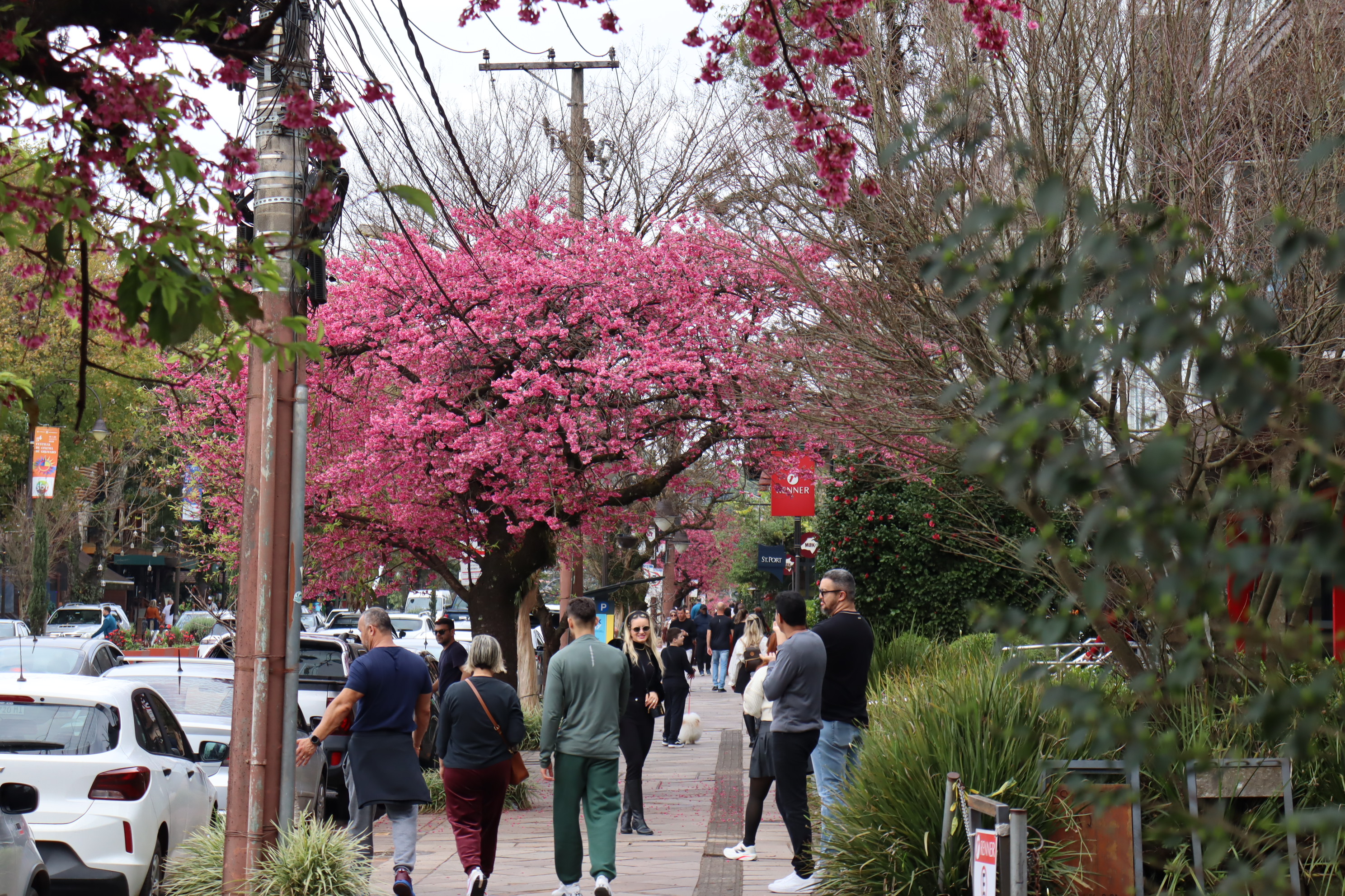 Foto: Divulgação Prefeitura de Gramado